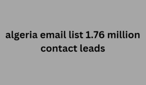 algeria email list 1.76 million contact leads