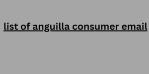 list of anguilla consumer email