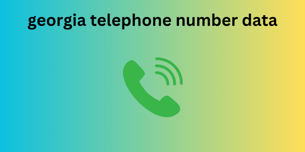 georgia telephone number data